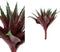 PTMD Succulent Aloe Vera Kunstplant - 17 x 18 x 25 cm - Groen/rood