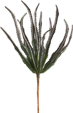 PTMD Succulent Haworthiastruik Kunstplant - 18 x 11 x 27 cm - Groen