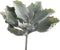 PTMD Succulent Kalanchoe Pluk Kunstplant - 13 x 14 x 20 cm - Groen
