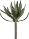 PTMD Succulent Plant Agave Prikker - 13 x 18 x 22 cm - Groen