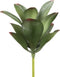 PTMD Succulent Plant Kalanchoe Prikker - 20 x 18 x 28 cm - Groen