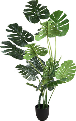 PTMD Tree Green monstera in black pot