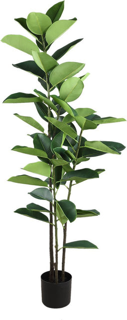 PTMD Tree Green oak tree In black pot