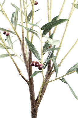 PTMD Tree Green olijfboom in plastic pot