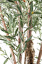PTMD Tree Green olive tree in plastic pot - Oijfboom XXL 265 hoog - diameter 140 cm