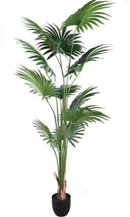 PTMD Tree Green palm 11 leaves in pot