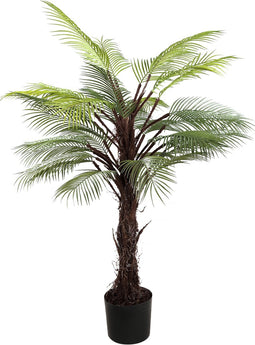 PTMD Tree Green Palm Tree In Black Pot