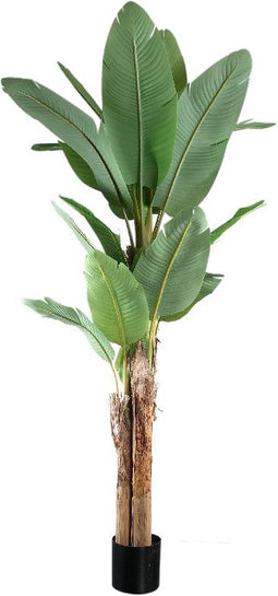 PTMD Tree Green PE Real Touch Banana Tree L