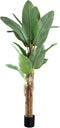 PTMD Tree Green PE Real Touch Banana Tree L