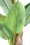 PTMD Tree Green PE Real Touch Banana Tree L
