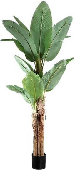 PTMD Tree Green PE Real Touch Banana Tree M