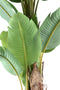 PTMD Tree Green PE Real Touch Banana Tree M