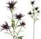 PTMD Twig Plant Frambozendistel Kunsttak - 37 x 22 x 83 cm - Paars
