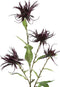 PTMD Twig Plant Frambozendistel Kunsttak - 37 x 22 x 83 cm - Paars