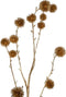 PTMD Twig Plant Kastanje Kunsttak - 46 x 12 x 80 cm - Goud