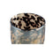PTMD Windlicht Mella - 14x14x16 cm - Glas - Bruin