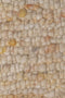 Sirmione 26 Vloerkleed - 130x200 - Rechthoek - Laagpolig,Structuur Tapijt - Industrieel - Beige, Geel