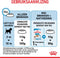 Royal Canin Mini Junior - 800 GR