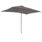 vidaXL - Parasol - met - houten - paal - 200x300 - cm - antraciet