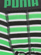 PUMA Boxershort Kinderen PUMA BASIC BOXER PRINTED STRIPE 2P - Classic Green