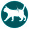 Purina ONE Adult - Kattenvoer Droogvoer - Kip & Volkoren Granen - 6 kg