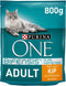 Purina ONE Adult Kip - Volkoren Granen 800 gr