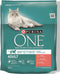 Purina ONE Adult Zalm - Volkoren Granen 800 gr