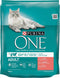 Purina ONE Adult Zalm - Volkoren Granen 800 gr