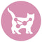 Purina ONE Junior - Kip/Granen - Kattenvoer - 800 g