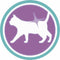 Purina One Sensitive - Kalkoen/Rijst - Kattenvoer - 800 g