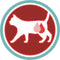 Purina ONE Sterilcat - Kattenvoer Droogvoer - Kip & Tarwe - 6 kg