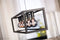 Hanglamp Atlanta 5-lichts - Zwart | BY-OLAF
