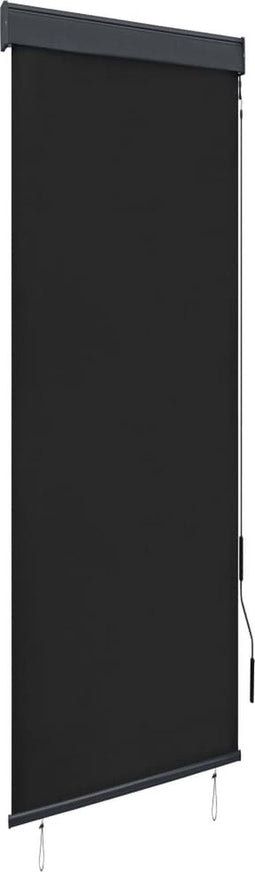 vidaXL - Rolgordijn - voor - buiten - 60x250 - cm - antraciet