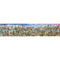 Puzzel Educa 17570 Around the World 42000 Onderdelen 749 x 157 cm