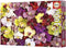 Puzzel Educa Orchidee 1000 Onderdelen