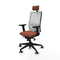 Bureaustoel Piqueras y Crespo 2D066G2 Bruin