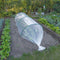 Nature - Groeifolie - Afdekzeil - 3 x 4m - 200μ - Transparant - Multifunctioneel