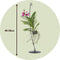 Plant in a Box - Vanda met standaard - Roze - Hoogte standaard 70cm