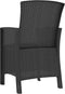 vidaXL - Tuinstoelen - 2 - st - met - kussens - polypropeen - rattan - grafietkleurig