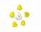 Trendform Magnetische Kip - set van 6 verschillende