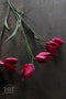 Silk-ka Kunstbloem-Zijden Bloem Fritillaria Tak Roze 64 cm Voordeelaanbod Per 2 Stuks