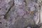 Schilderij Home ESPRIT Boeddha Orientaals 60 x 2,7 x 80 cm (2 Stuks)