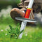 WOLF-Garten KS-M Multi-Star Onkruidsteker - 170mm - Ergonomisch en diepgeworteld onkruid verwijderen