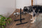 Beeztees Standaard - Dinerset Hond - 2 RVS bakken - Zwart - 25 cm