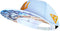 Capiche® Snapback Pet Heren – Pegasus – Wit – Verstelbaar met Druksluiting – Sportcap – Baseball Cap – Mannen Cap – Griekse Mythologie
