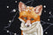 Thea Gouverneur - Borduurpakket met telpatroon - 744.05 - Voorgesorteerde DMC Garens - Hey There Foxy Lady - Zwart Aida - 31 cm x 30 cm - DIY Kit