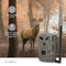 NEDIS WCAM460GN - Wildcamera - 4G Full HD - 20m bereik - camouflage