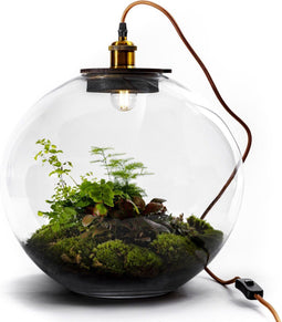 Growing Concepts DIY Duurzaam Ecosysteem Demeter lamp - H38xØ37cm