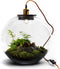 Growing Concepts DIY Duurzaam Ecosysteem Demeter lamp - H38xØ37cm