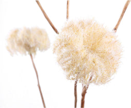 PTMD Gedroogde Clematis Droogbloem - 57x36x114 cm - Kunststof - Créme